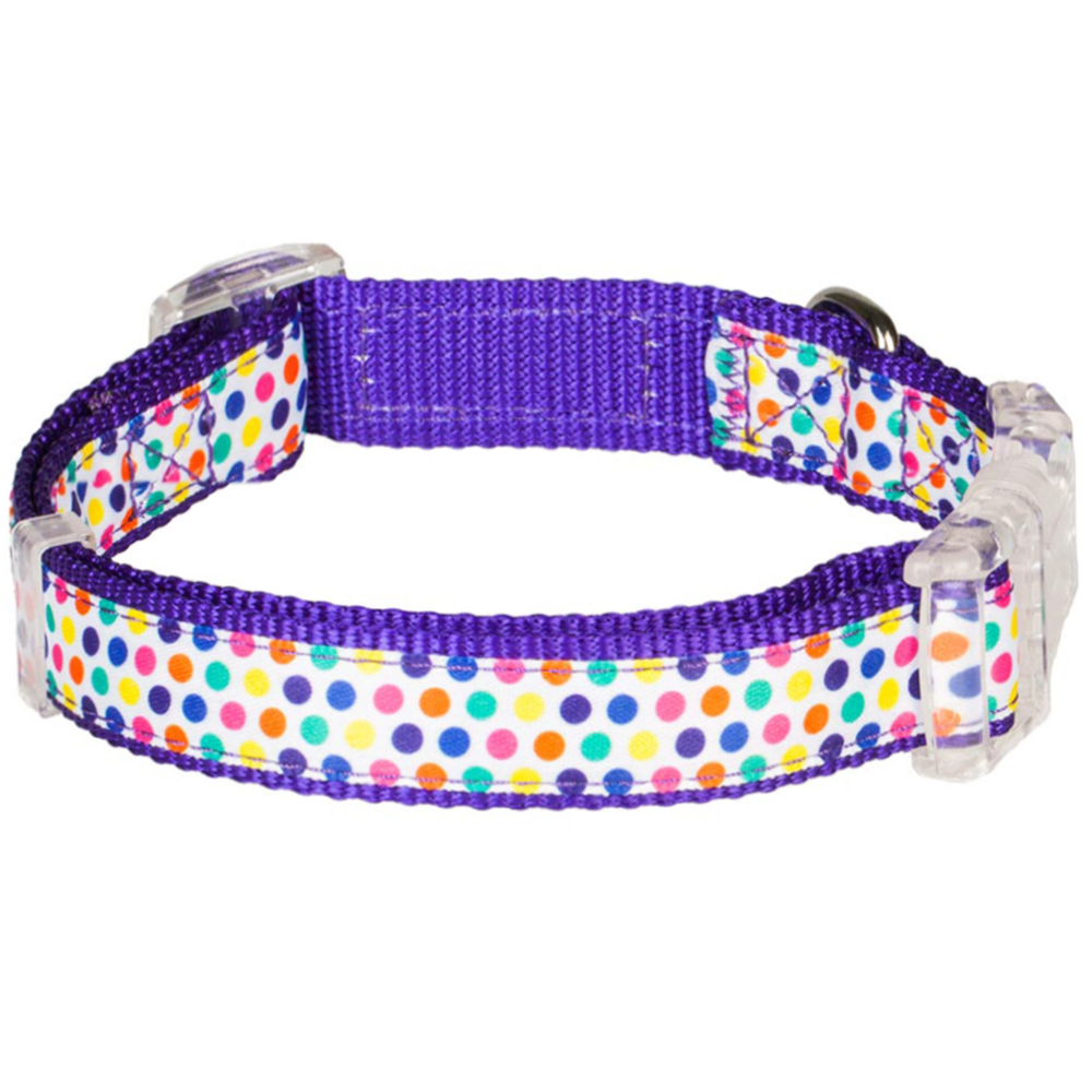 Blueberry Pet Collars For Dog Multicolor Polka Dot Designer Standard